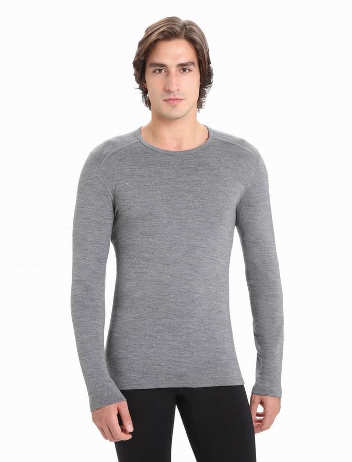 Icebreaker Merino 260 Tech Long Sleeve Crewe Termal Taban Katmanı Erkek Gri | NQD2146UL