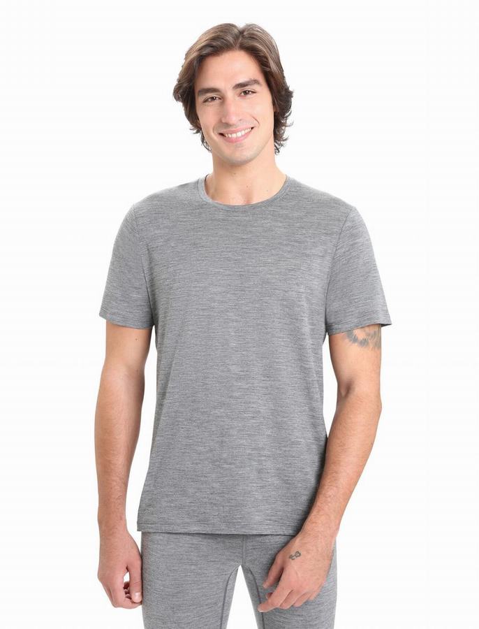 Icebreaker Merino Tech Lite II Kısa Sleeve Tişört Erkek Gri | SME1141RL