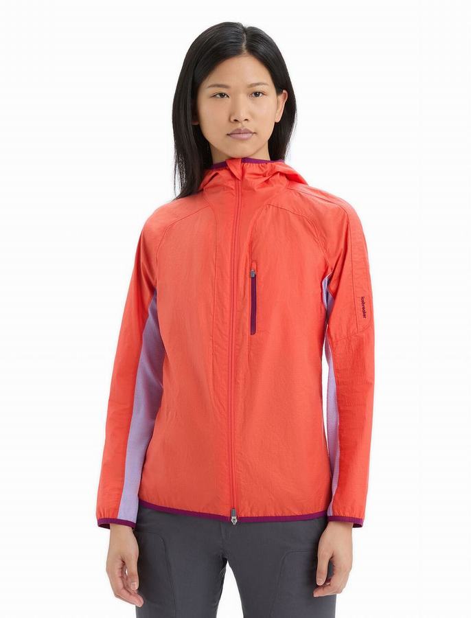 Icebreaker Shell+™ Merino Pamuklu Windbreaker Ceket Kadın Turuncu | VRW4585ZK