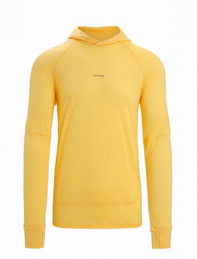 Icebreaker Cool-Lite™ Merino Long Sleeve Kapüşonlu Sweatshirt Erkek Sarı | ZRV7820XM