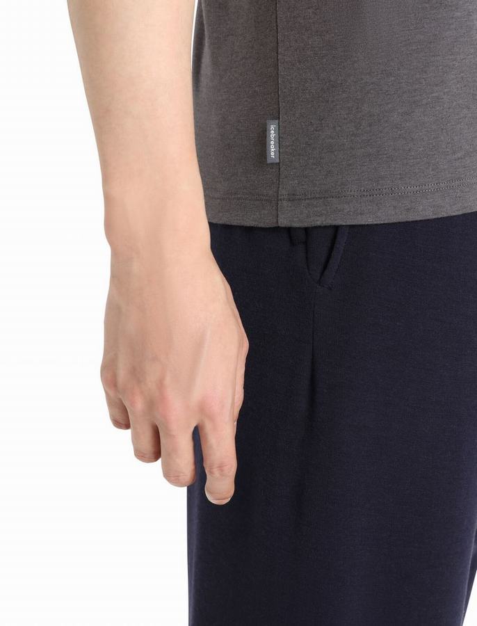 Icebreaker Merino Central Klasik Kısa Sleeve Tişört Erkek Gri | GJB7950MY