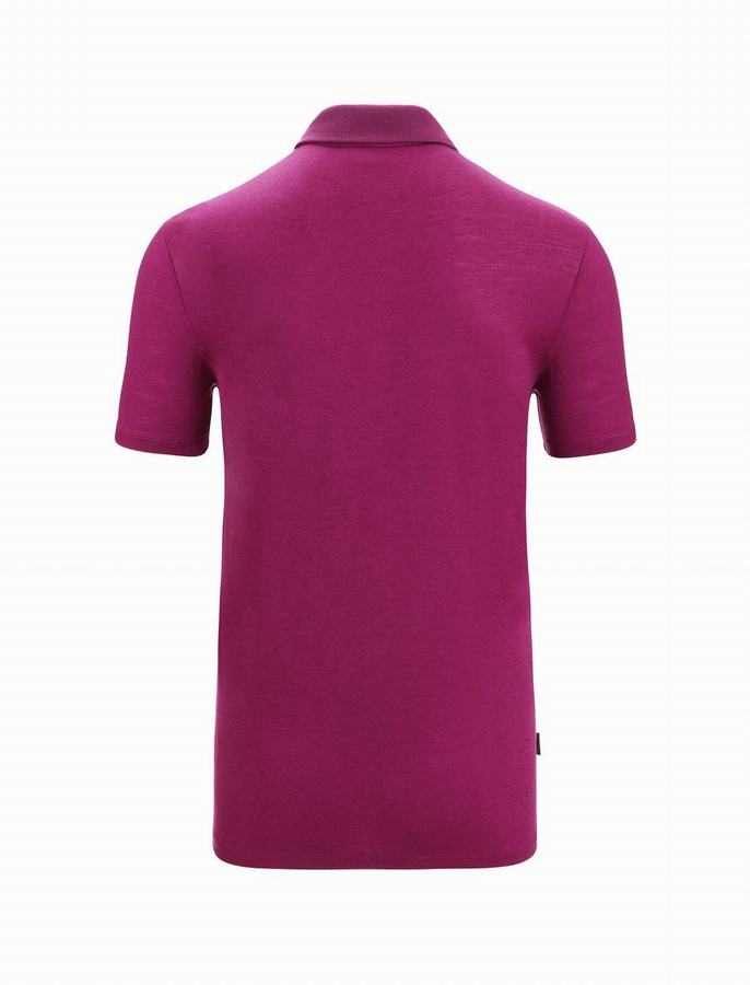 Icebreaker Merino Tech Lite II Kısa Sleeve Polo Gömlek Erkek Koyu Mor | ASG6957KJ