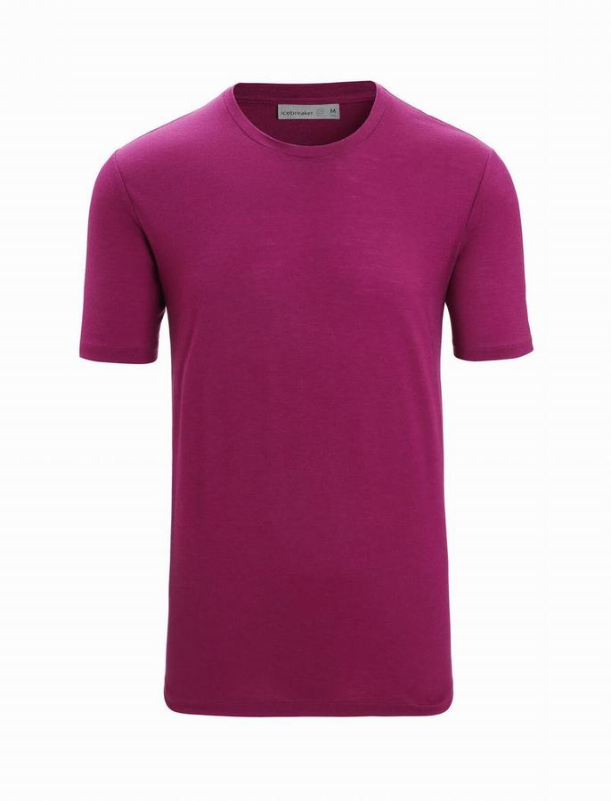 Icebreaker Merino Tech Lite II Kısa Sleeve Tişört Erkek Mor | HOL1080KD