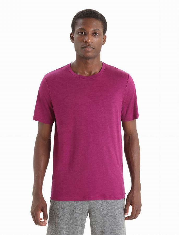 Icebreaker Merino Tech Lite II Kısa Sleeve Tişört Erkek Mor | HOL1080KD