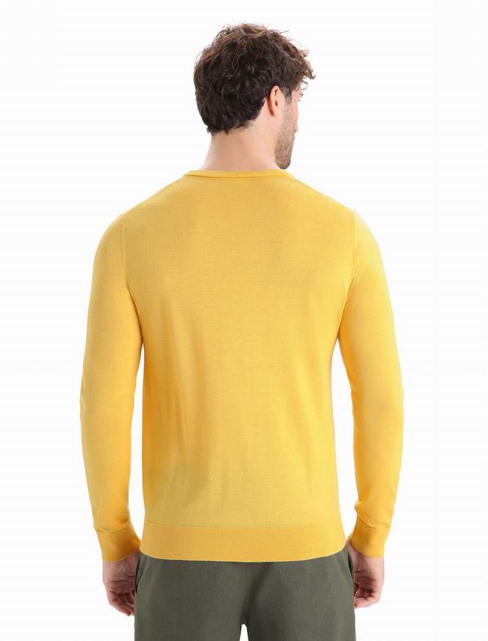 Icebreaker Merino Wilcox Long Sleeve Sweater Erkek Sarı | UDW6590AY