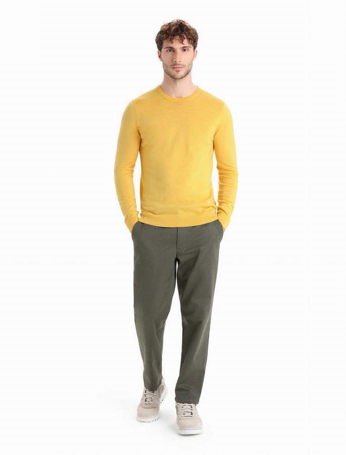 Icebreaker Merino Wilcox Long Sleeve Sweater Erkek Sarı | UDW6590AY