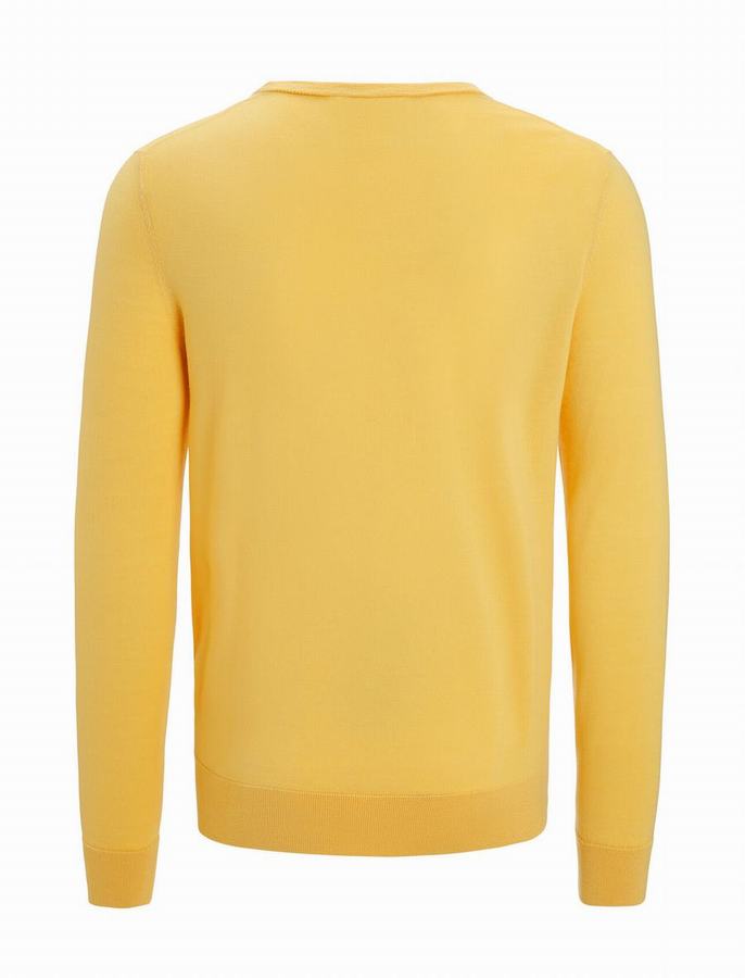 Icebreaker Merino Wilcox Long Sleeve Sweater Erkek Sarı | UDW6590AY