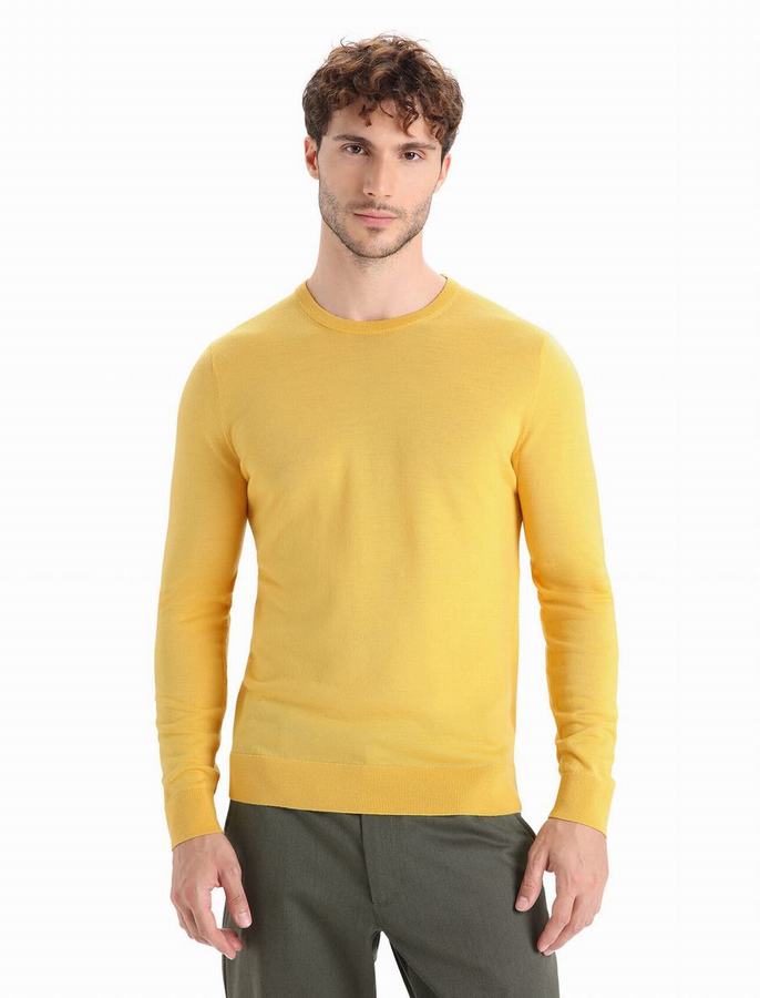 Icebreaker Merino Wilcox Long Sleeve Sweater Erkek Sarı | UDW6590AY