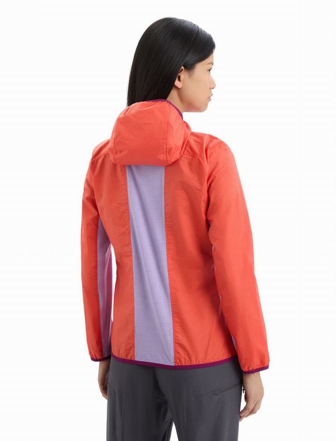 Icebreaker Shell+™ Merino Pamuklu Windbreaker Ceket Kadın Turuncu | VRW4585ZK